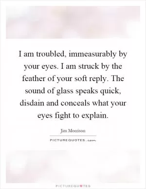 I am troubled, immeasurably by your eyes. I am struck by the feather of your soft reply. The sound of glass speaks quick, disdain and conceals what your eyes fight to explain Picture Quote #1