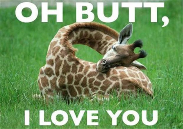 Oh butt, I love you Picture Quote #1