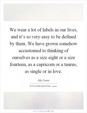We wear a lot of labels in our lives, and it’s so very easy to be defined by them. We have grown somehow accustomed to thinking of ourselves as a size eight or a size fourteen, as a capricorn or a taurus, as single or in love Picture Quote #1