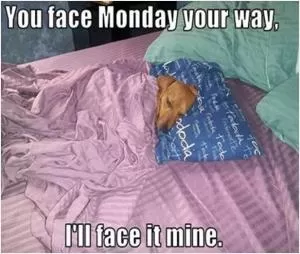 You face Monday your way, and I’ll face it mine Picture Quote #1