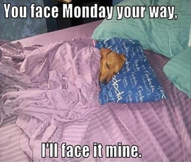 You face Monday your way, and I'll face it mine Picture Quote #1