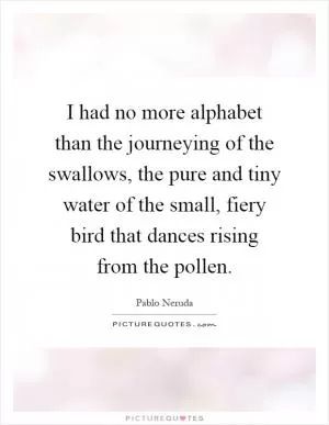 I had no more alphabet than the journeying of the swallows, the pure and tiny water of the small, fiery bird that dances rising from the pollen Picture Quote #1