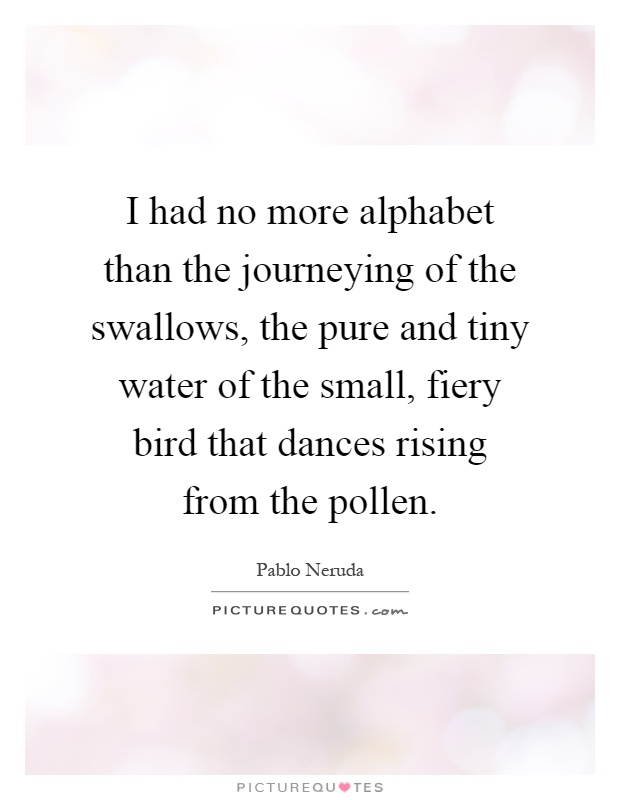 I had no more alphabet than the journeying of the swallows, the pure and tiny water of the small, fiery bird that dances rising from the pollen Picture Quote #1