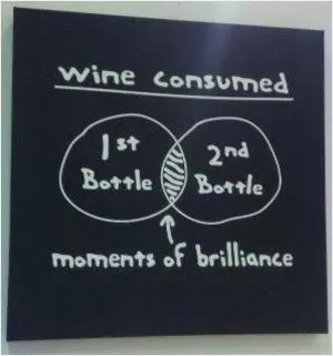 Wine consumed. 1st bottle. 2nd bottle. Moments of brilliance Picture Quote #1