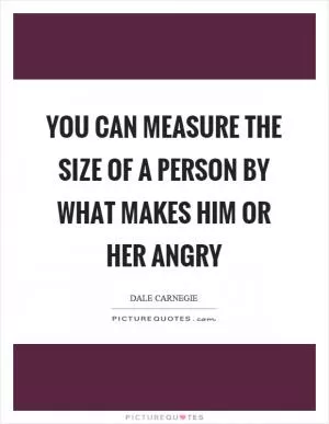 You can measure the size of a person by what makes him or her angry Picture Quote #1