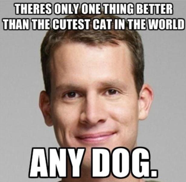 There's only one thing better than the cutest cat in the world Picture Quote #1