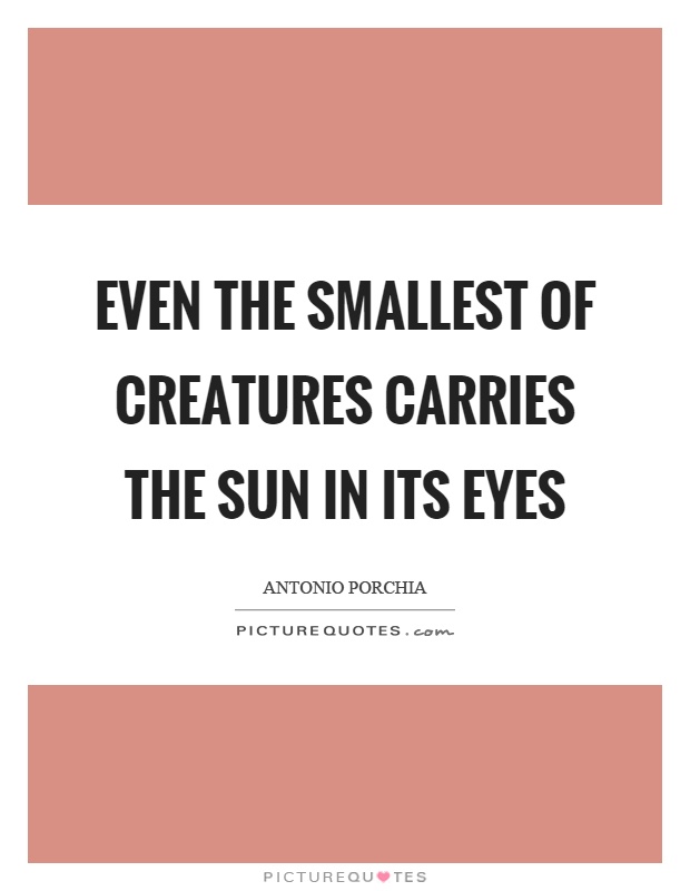 Even the smallest of creatures carries the sun in its eyes Picture Quote #1