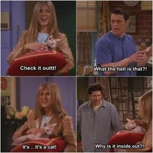 Check it outtt! What the hell is that?! It’s... it’s a cat! Why is it inside out?! Picture Quote #1