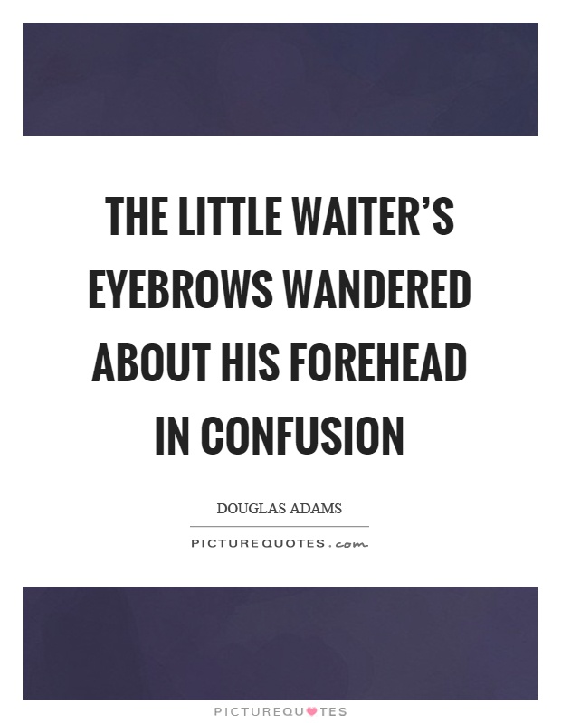 The little waiter's eyebrows wandered about his forehead in confusion Picture Quote #1