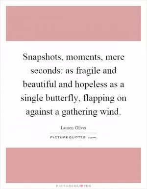 Snapshots, moments, mere seconds: as fragile and beautiful and hopeless as a single butterfly, flapping on against a gathering wind Picture Quote #1
