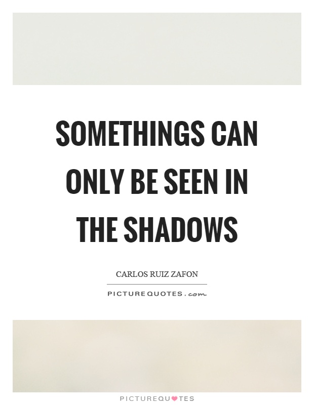 Somethings can only be seen in the shadows Picture Quote #1