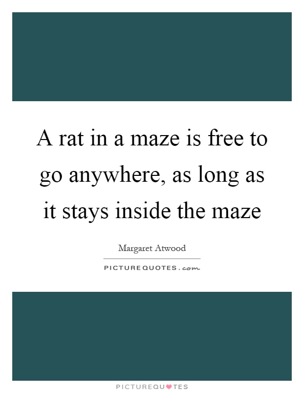 A rat in a maze is free to go anywhere, as long as it stays inside the maze Picture Quote #1