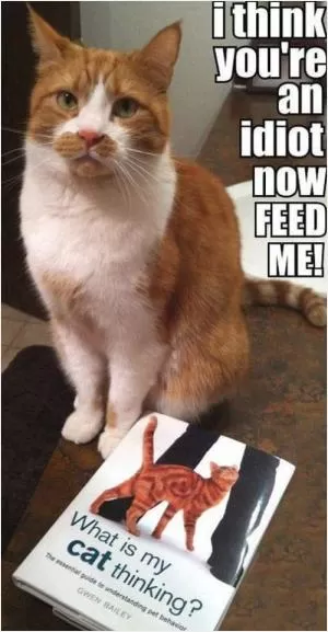 I think you’re an idiot. Now feed me Picture Quote #1