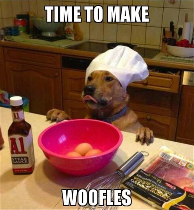 Time to make woofles Picture Quote #1