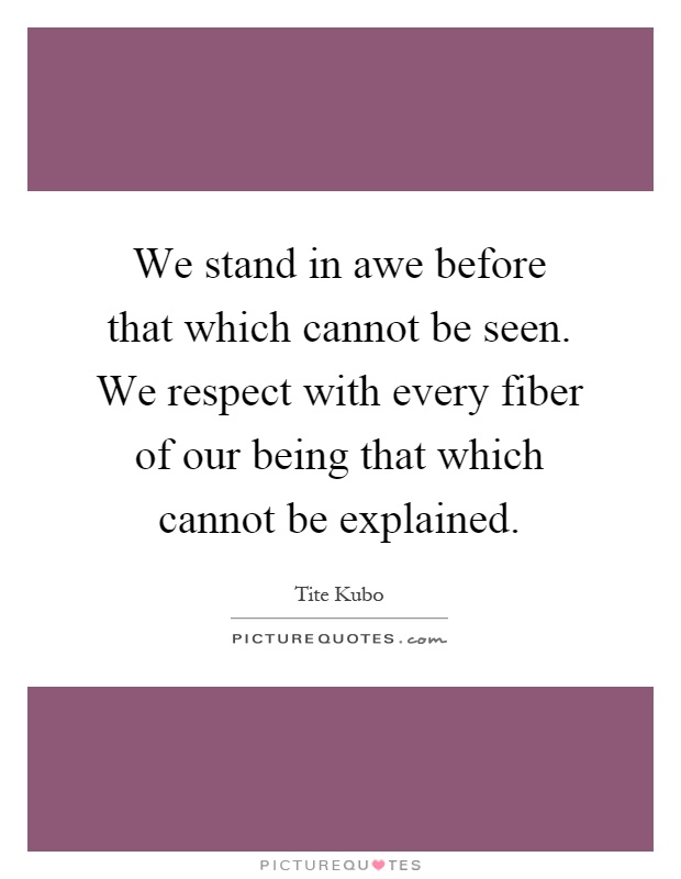 We stand in awe before that which cannot be seen. We respect with every fiber of our being that which cannot be explained Picture Quote #1