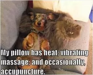 My pillow has heat; vibrating massage, and occasionally acupuncture Picture Quote #1