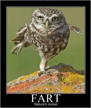 Fart. Nature's rocket Picture Quote #1