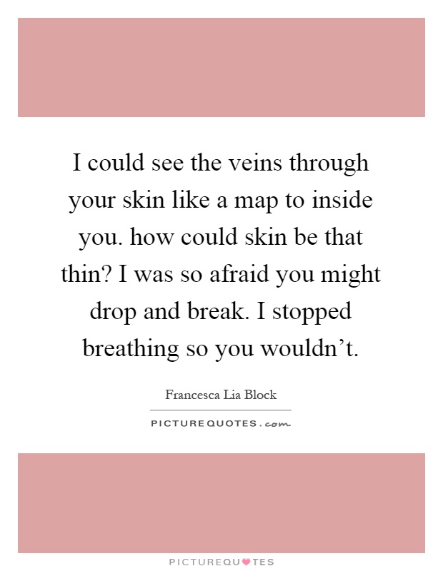 I could see the veins through your skin like a map to inside you. how could skin be that thin? I was so afraid you might drop and break. I stopped breathing so you wouldn't Picture Quote #1