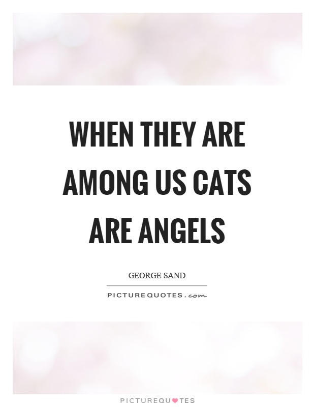 When they are among us cats are angels Picture Quote #1
