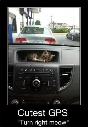 Cutest GPS “turn right meow” Picture Quote #1