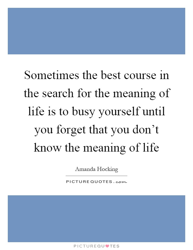 Sometimes the best course in the search for the meaning of life is to busy yourself until you forget that you don't know the meaning of life Picture Quote #1