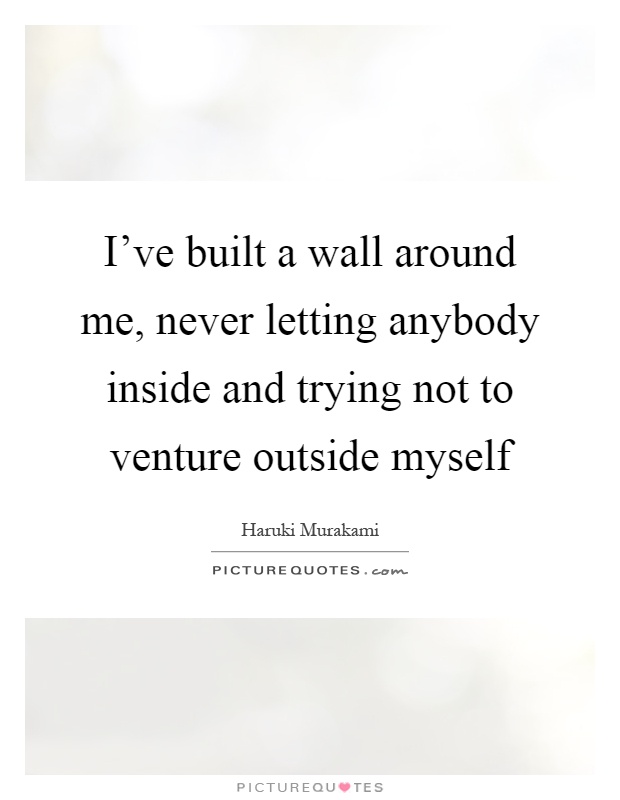 I've built a wall around me, never letting anybody inside and trying not to venture outside myself Picture Quote #1