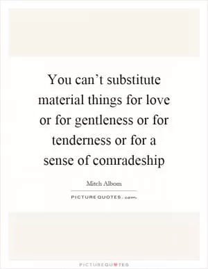 You can’t substitute material things for love or for gentleness or for tenderness or for a sense of comradeship Picture Quote #1