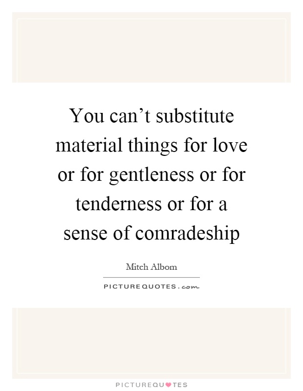 You can't substitute material things for love or for gentleness or for tenderness or for a sense of comradeship Picture Quote #1