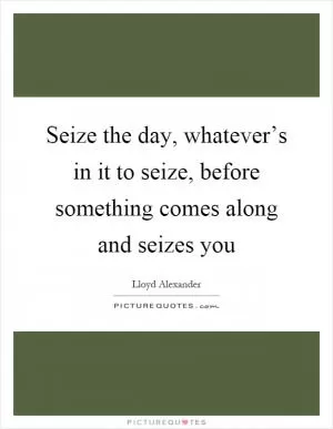 Seize the day, whatever’s in it to seize, before something comes along and seizes you Picture Quote #1