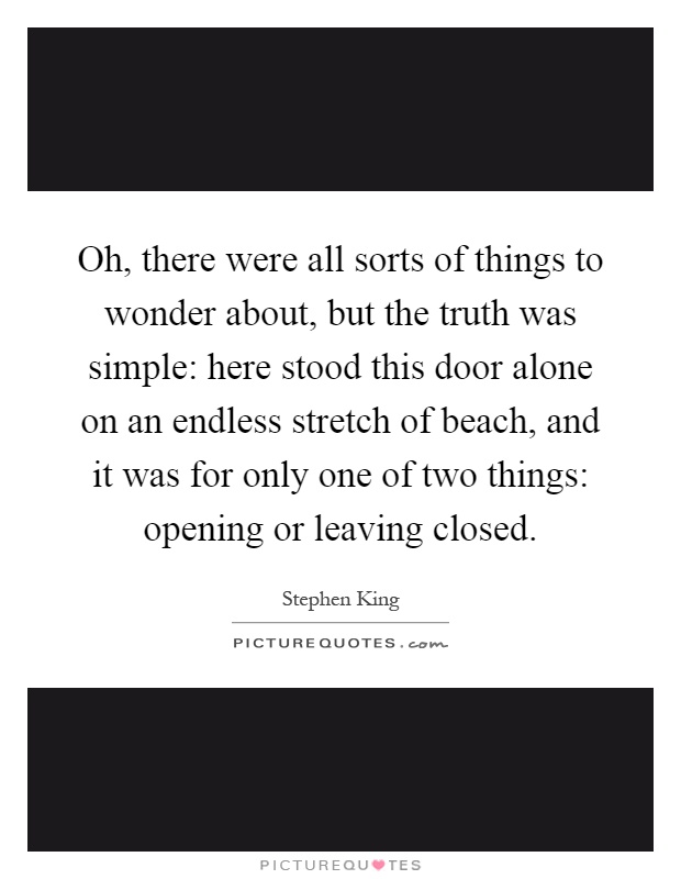 Oh, there were all sorts of things to wonder about, but the truth was simple: here stood this door alone on an endless stretch of beach, and it was for only one of two things: opening or leaving closed Picture Quote #1