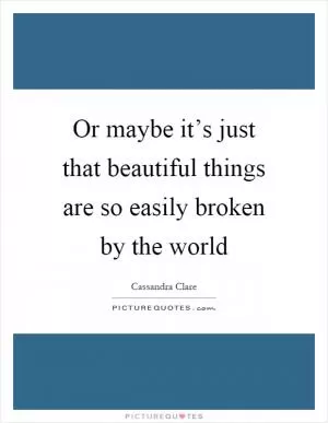 Or maybe it’s just that beautiful things are so easily broken by the world Picture Quote #1