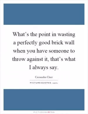 What’s the point in wasting a perfectly good brick wall when you have someone to throw against it, that’s what I always say Picture Quote #1