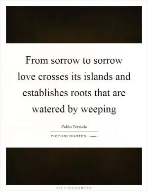From sorrow to sorrow love crosses its islands and establishes roots that are watered by weeping Picture Quote #1