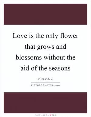 Love is the only flower that grows and blossoms without the aid of the seasons Picture Quote #1