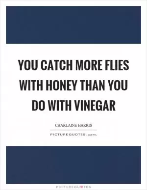 You catch more flies with honey than you do with vinegar Picture Quote #1