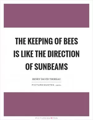 The keeping of bees is like the direction of sunbeams Picture Quote #1