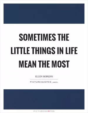 Sometimes the little things in life mean the most Picture Quote #1