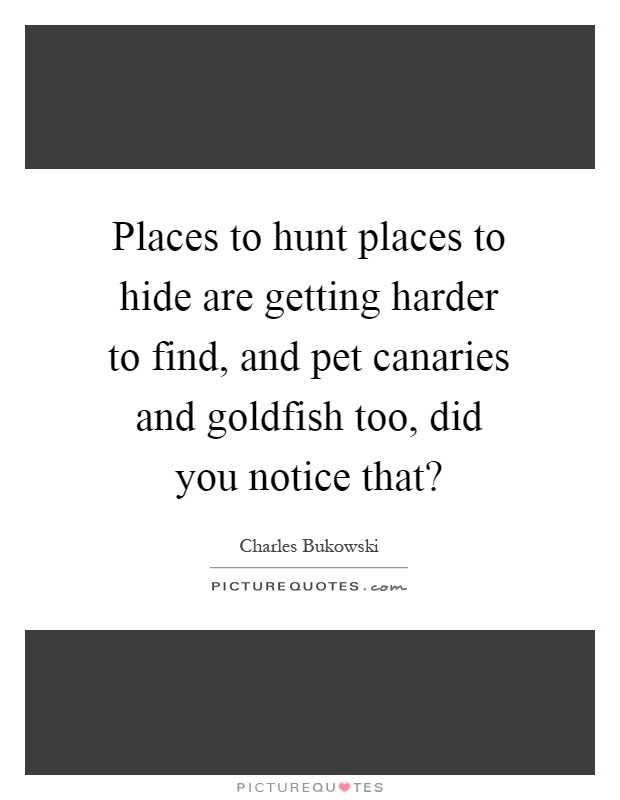 Places to hunt places to hide are getting harder to find, and pet canaries and goldfish too, did you notice that? Picture Quote #1