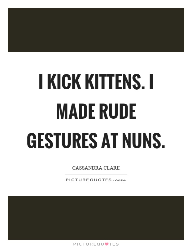 I kick kittens. I made rude gestures at nuns Picture Quote #1