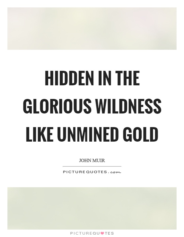 Hidden in the glorious wildness like unmined gold Picture Quote #1