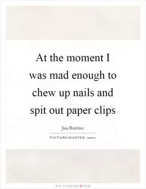 At the moment I was mad enough to chew up nails and spit out paper clips Picture Quote #1