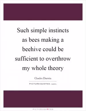 Such simple instincts as bees making a beehive could be sufficient to overthrow my whole theory Picture Quote #1