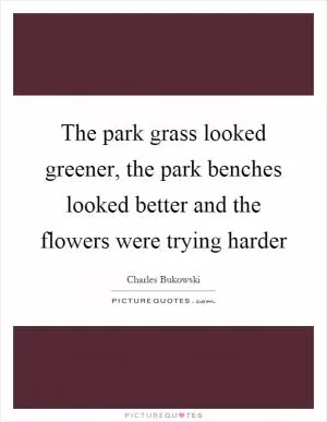 The park grass looked greener, the park benches looked better and the flowers were trying harder Picture Quote #1