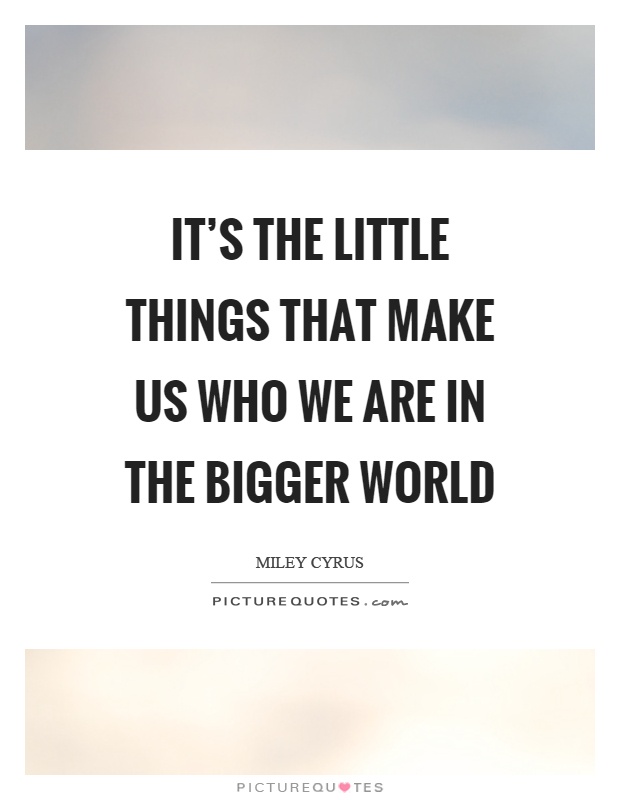 It's the little things that make us who we are in the bigger world Picture Quote #1