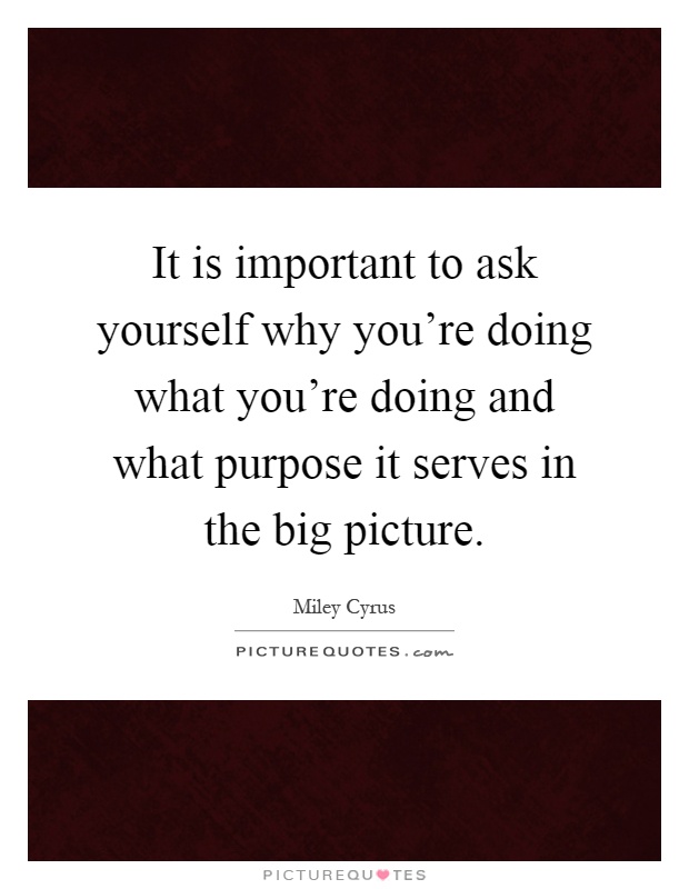It is important to ask yourself why you're doing what you're doing and what purpose it serves in the big picture Picture Quote #1