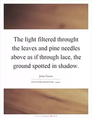 The light filtered throught the leaves and pine needles above as if through lace, the ground spotted in shadow Picture Quote #1