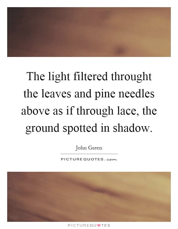 The light filtered throught the leaves and pine needles above as if through lace, the ground spotted in shadow Picture Quote #1