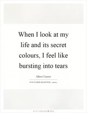 When I look at my life and its secret colours, I feel like bursting into tears Picture Quote #1