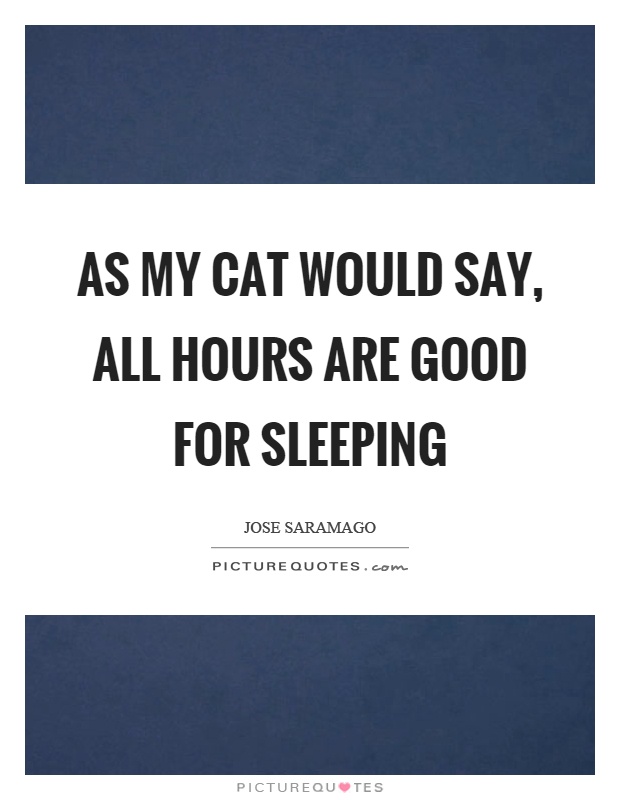 As my cat would say, all hours are good for sleeping Picture Quote #1