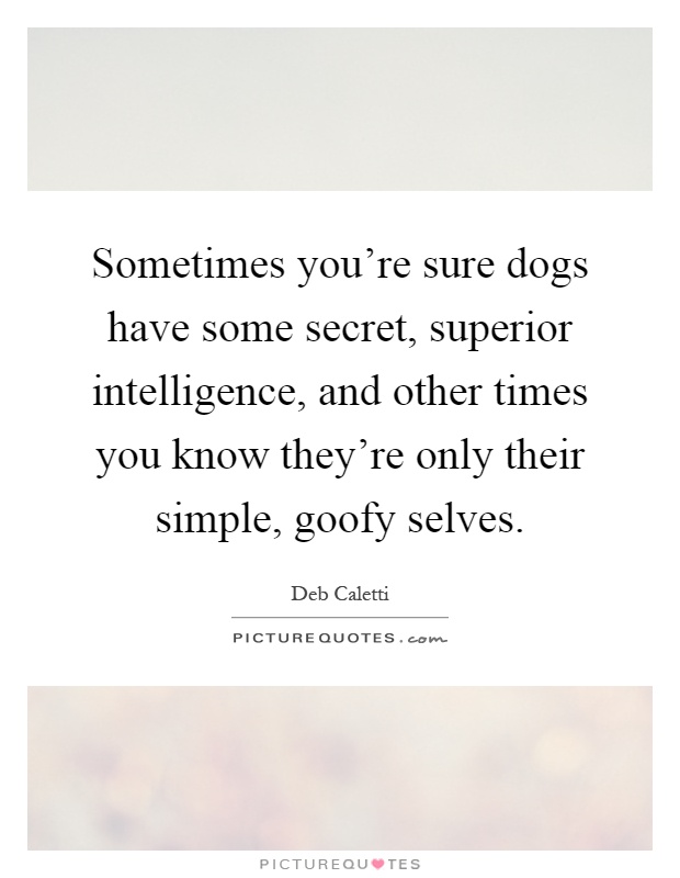 Sometimes you're sure dogs have some secret, superior intelligence, and other times you know they're only their simple, goofy selves Picture Quote #1